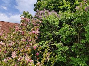 Ferienhaus Christoph Seeger