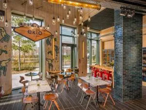 Eklo Lyon - 韦尼雪