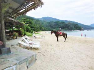 5-MINS WALK TO BEACH WITH POOL, Batu Ferringhi