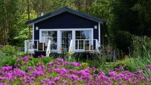 Między Lasem a Wodą - Siecino