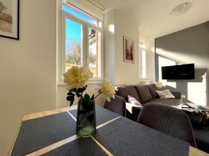 Cosy old town apartment