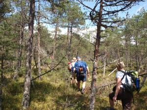 Pensiunea Casa Alexandra