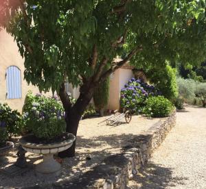 Maisons de vacances La Bastide des Jourdans - Piscine et climatisation : photos des chambres