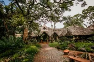 Amanzi Lodge - Lichendale