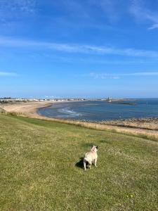 The Boathouse - Hottub - Sleeps 6