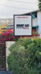 El Palacio Hidden City Place #2