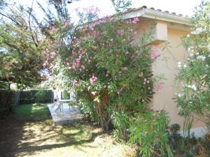 Villas Villa Soulac-sur-Mer, 4 pieces, 6 personnes - FR-1-648-40 : photos des chambres