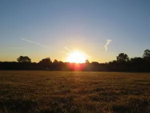 Pitch your own tent in beautiful location Kent Sussex border - Wadhurst