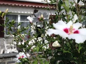 Casa Franci - Vairano