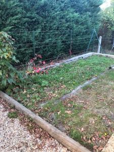 Appartements Maison chaleureuse lac & mer : photos des chambres