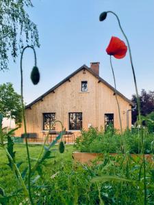 Maisons d'hotes LA CLEF DES CHAMPS 61 : photos des chambres