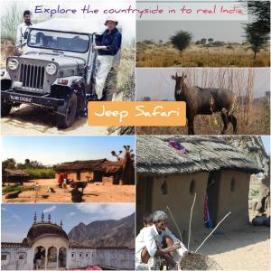 Tourist Pension