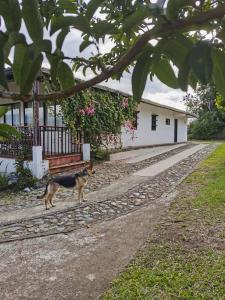VILLA ALEJANDRA - Hermosa FINCA cerca al centro - Sendero - Jacuzzi