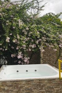 VILLA ALEJANDRA - Hermosa FINCA cerca al centro - Sendero - Jacuzzi