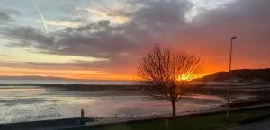 Oyster Cottage - The Mumbles