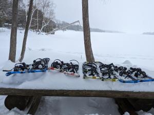 Cozy Escape, Kawarthas Cottage With Sauna