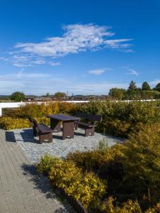 Storczykowe Wzgórze