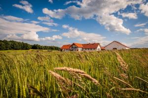 Storczykowe Wzgórze