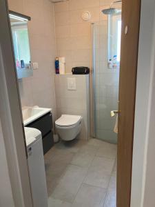 Villa Axelsson in Medulin