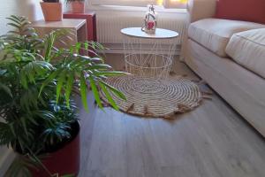 Appartements Le Septieme Ciel Clermont-Ferrand cosy en ville : photos des chambres