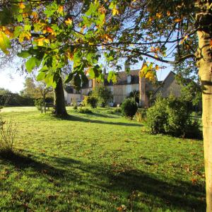 Maisons de vacances Gite manoir Les Camps Greslins : photos des chambres