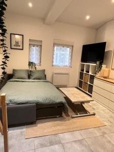 Appartements Le Remois studio cosy hyper centre : photos des chambres