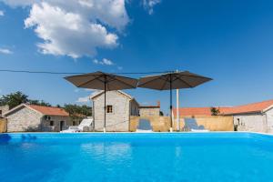 House Stone Curlew 1