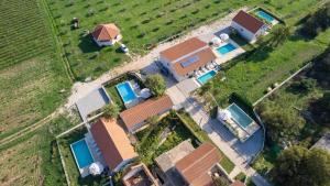 House Stone Curlew 4