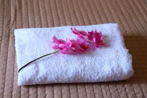 Mistygreen Homestay Thekkady