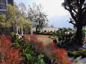 Aaravi Garden Homestay