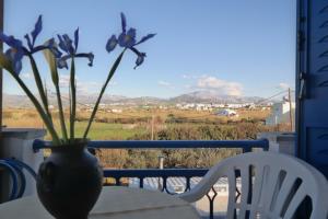 Mina's Studios in Naxos Island Naxos Greece