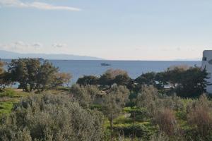 Mina's Studios in Naxos Island Naxos Greece