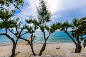 Apartments Marija Petricevic