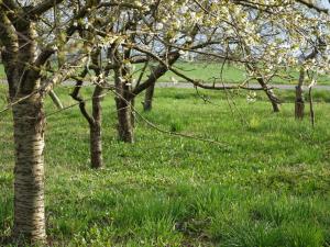 Ranczo Tomaszówka, Lokalik nad Gąską
