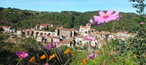 B&B / Chambres d'hotes Au Mange-Prunes : photos des chambres