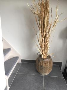 Les terrasses de Malmedy duplex 420