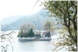 The Periwinkle Homestay Bhimtal