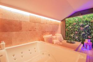 Love hotels LES BAINS D’EROS : photos des chambres