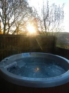 Silver Birch Lodge with Hot Tub - Luthrie