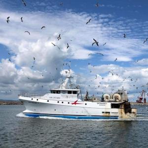 Appart T2 vue imprenable sur le canal et la mer