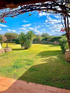 Residence Porto Coda Cavallo img31