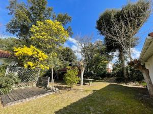 Villa landaise charmante pour 6 pers avec grand jardin - Capbreton - FR-1-413-211