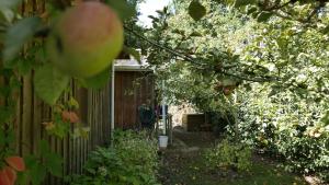 Maisons de vacances Belle villa 8 personnes proche de la foret : photos des chambres