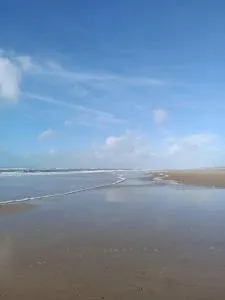 Domaine D'Erras -colibri - - Queyrac