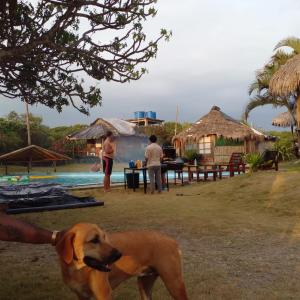 Kamala Surf & Backpacker Hostel