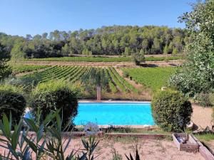 Appartements Le Figuier, suite en plein vignoble provencal : photos des chambres