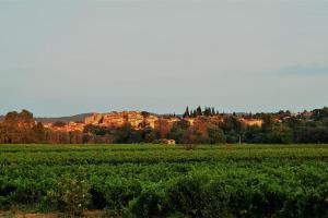 Appartements Le Figuier, suite en plein vignoble provencal : photos des chambres