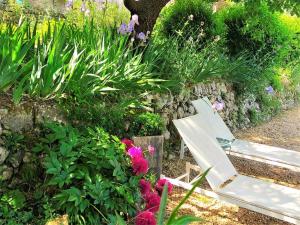 Appartements Le Figuier, suite en plein vignoble provencal : photos des chambres