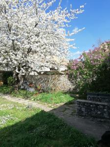 Appartements Chez Mary : photos des chambres