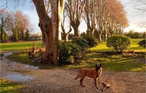 Maisons de vacances Amazing home in Avignon with 2 Bedrooms : photos des chambres